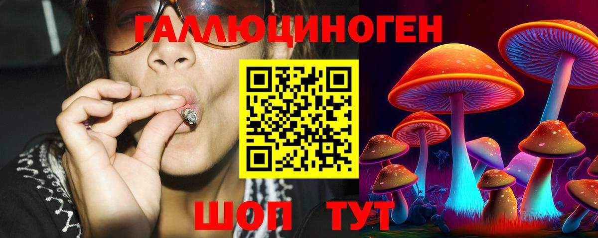 Псилоцибиновые грибы GOLDEN TEACHER  Вход с VPN  Чайковский  Галлюциногенные грибы Psilocybine cubensis 